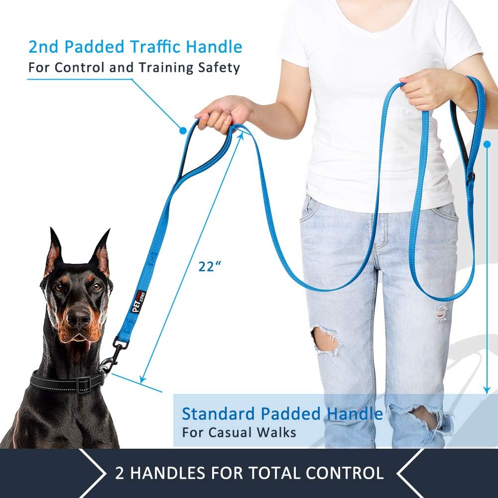 Double-Handle Reflective Dog Leash, 6ft (Light Blue)