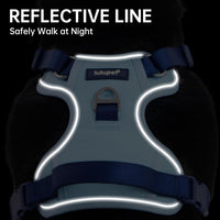 Reflective Dog Harness, Leash & Collar Set (Blue)