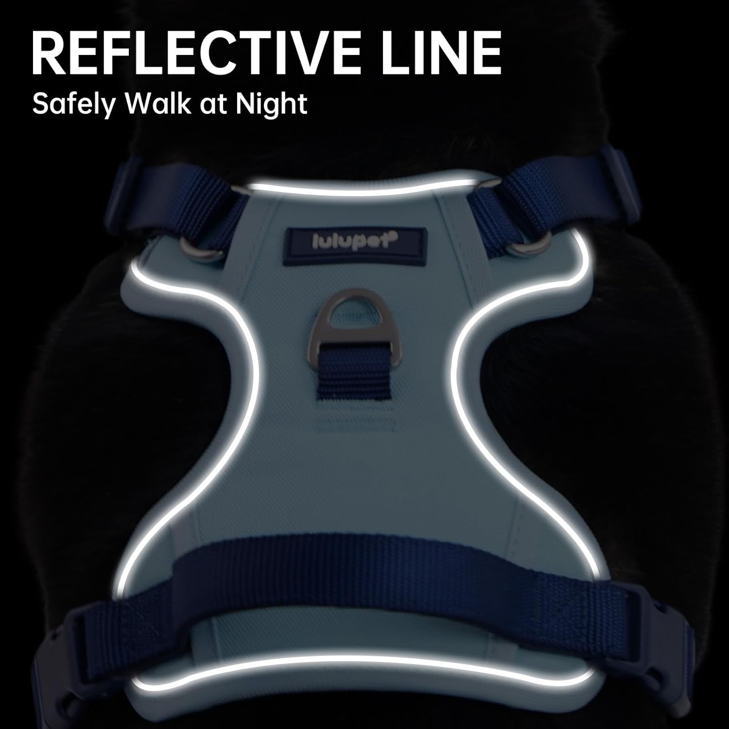 Dog Harness Leash and Collar Set, Soft Adjustable Dogs Vest Reflective and Comfortable Handle Blue Small