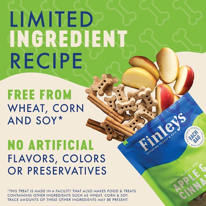 Apple Cinnamon Dog Biscuits Treats for Dogs Made in USA | Natural Apple Cinnamon Dog Treat | Wheat Free Dog Treats | Healthy Dog Treat Bags (12 oz)