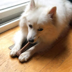 Bone - Made with Strong Bamboo Fiber, Durable Long Lasting Dog Chew for Light to Moderate Chewers, Great Toy for Adult Dogs & Teething Puppies Under 25lbs, 5.75in, Bacon Flavor