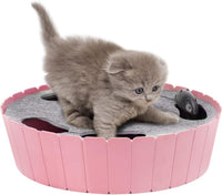 Interactive Cat Track Toy with Running Mouse