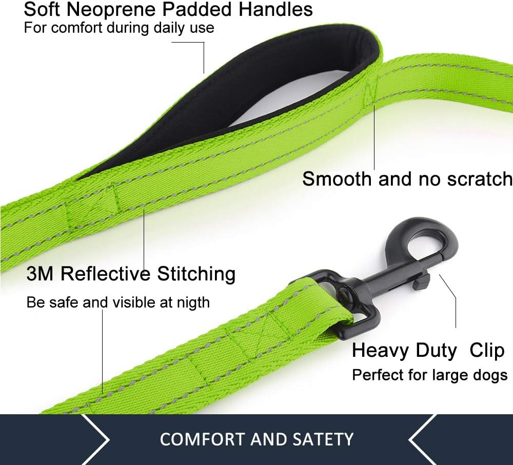 Double Handle Dog Leash 6ft Long, Padded 2 Handle, Heavy Duty, Reflective Training Leash for Medium Large Dogs, Dual Handle Lead (Green)