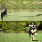 Double Handle Dog Leash 6ft Long, Padded 2 Handle, Heavy Duty, Reflective Training Leash for Medium Large Dogs, Dual Handle Lead (Green)