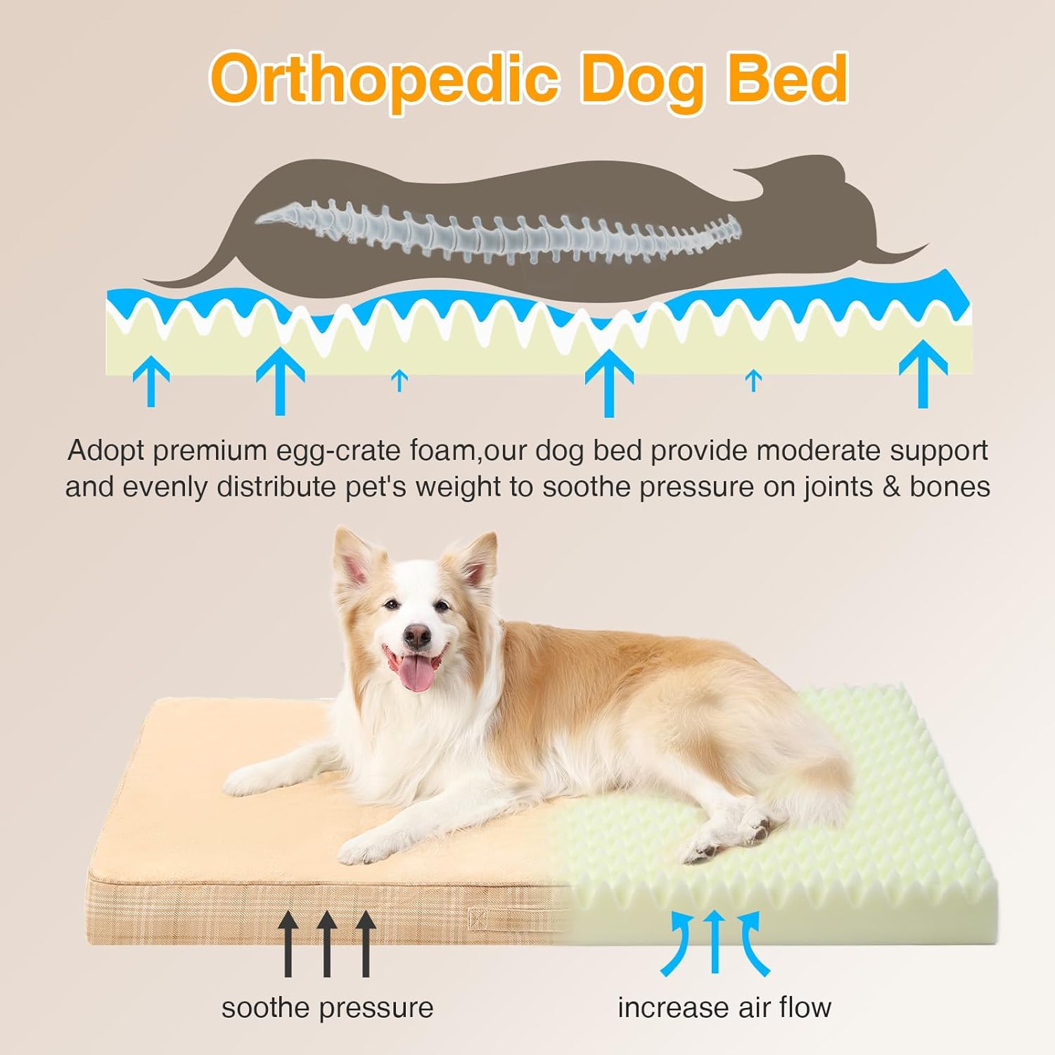 Washable Orthopedic Dog Bed – Waterproof Egg-Crate Foam (Beige)