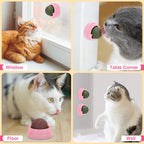 3 Pack Catnip Balls, Catnip Ball for Cats Wall, Edible Kitty Toys for Cats Lick, Safe Healthy Kitten Chew Toys, Teeth Cleaning Dental Cat Toys, Cat Wall Treats (Pink)