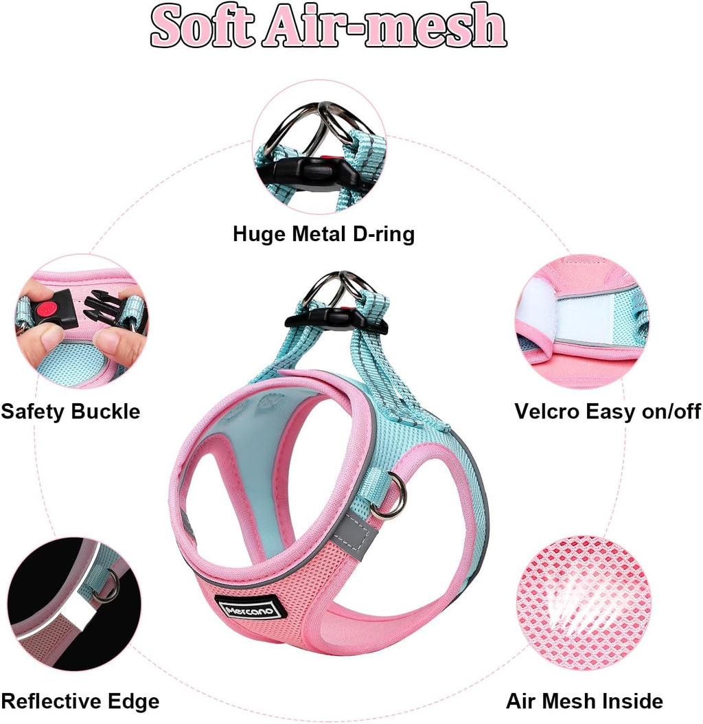 Soft Mesh Dog Harness and Leash Set, No-Chock Step-in Reflective Breathable Lightweight Easy Walk Vest Harnesses with Safety Buckle for Small Dogs, Cats (S, Pink Blue)