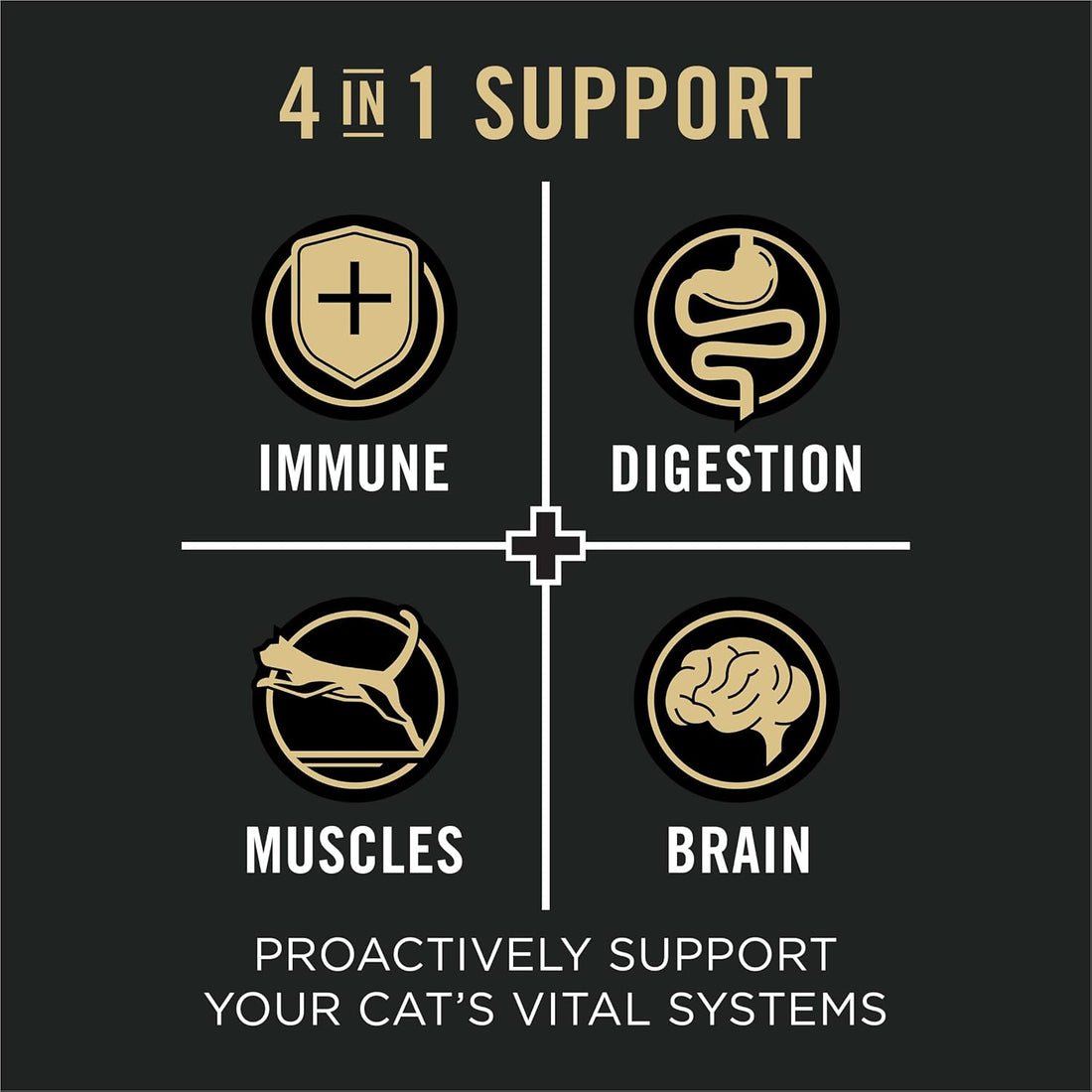 Vital Systems Salmon and Egg Formula 4-in-1 Adult Dry Cat Food - 3 lb. Bag