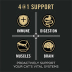Vital Systems Salmon and Egg Formula 4-in-1 Adult Dry Cat Food - 3 lb. Bag