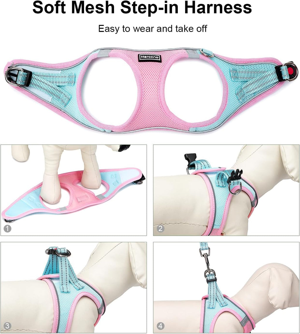 Soft Mesh Dog Harness and Leash Set, No-Chock Step-in Reflective Breathable Lightweight Easy Walk Vest Harnesses with Safety Buckle for Small Dogs, Cats (S, Pink Blue)