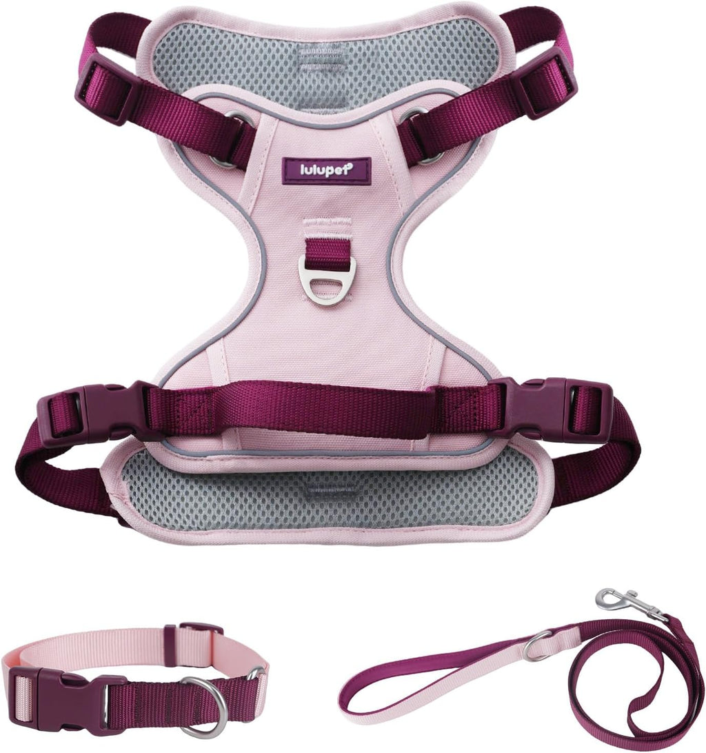 Dog Harness Leash and Collar Set, Soft Adjustable Dogs Vest Reflective and Comfortable Handle Pink Small