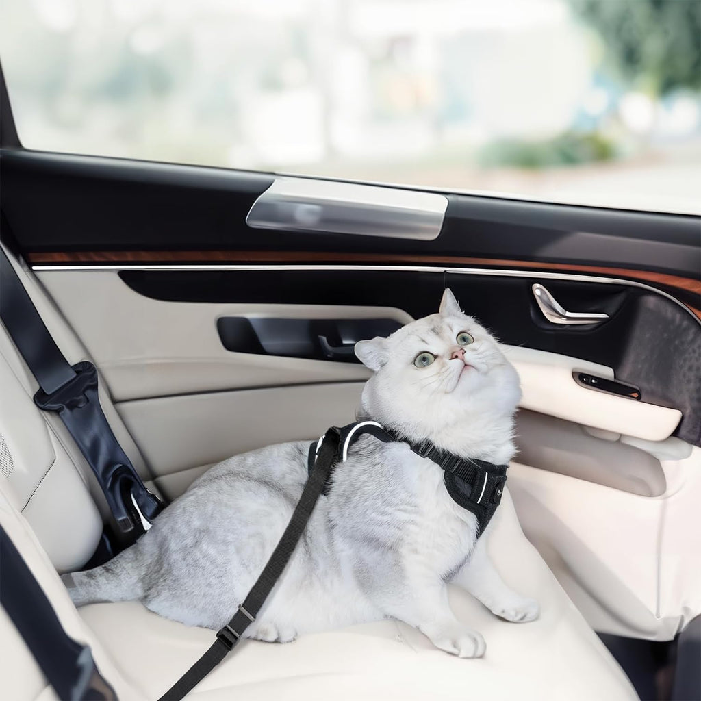 Cat Harness and Leash for Walking, Cat Car Harness, Escape Proof Soft Adjustable Vest Harnesses for Cats, Easy Control Breathable Reflective Strips Harness, Kitten Harness and Leash Set