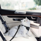 Cat Harness and Leash for Walking, Cat Car Harness, Escape Proof Soft Adjustable Vest Harnesses for Cats, Easy Control Breathable Reflective Strips Harness, Kitten Harness and Leash Set
