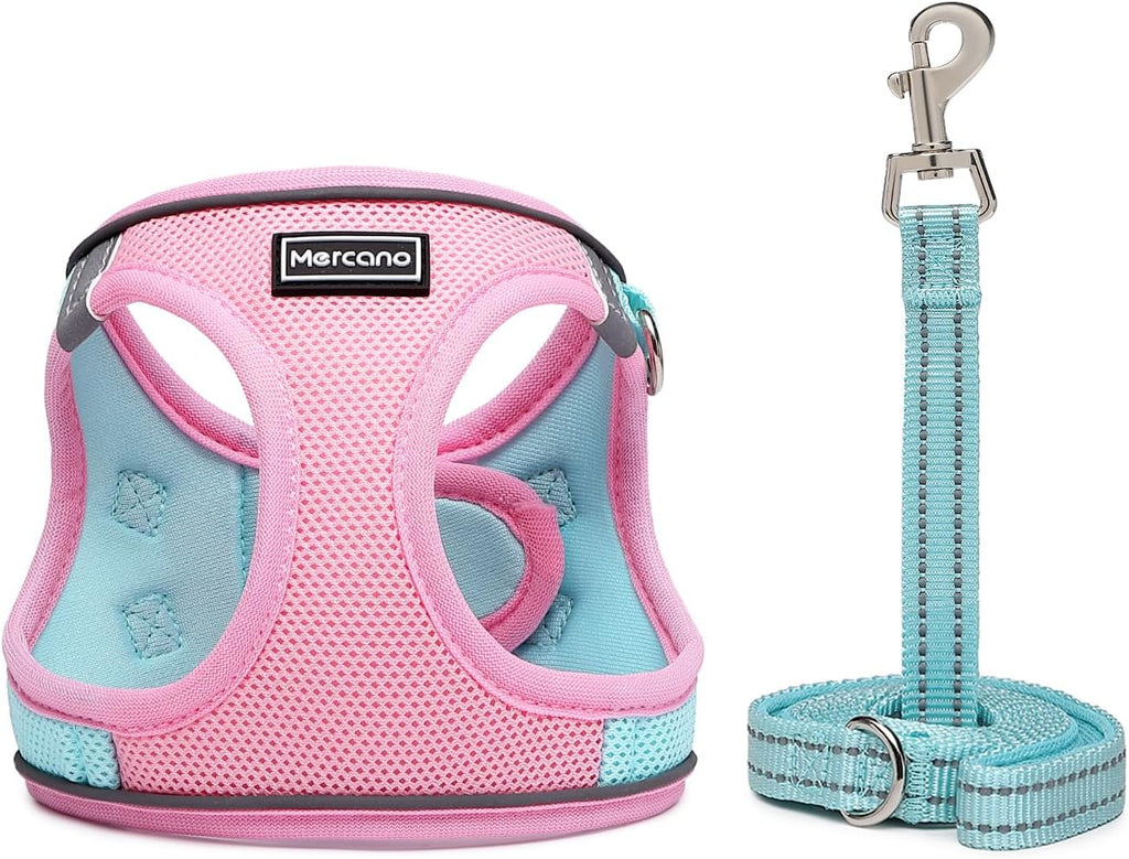 Soft Mesh Dog Harness and Leash Set, No-Chock Step-in Reflective Breathable Lightweight Easy Walk Vest Harnesses with Safety Buckle for Small Dogs, Cats (S, Pink Blue)