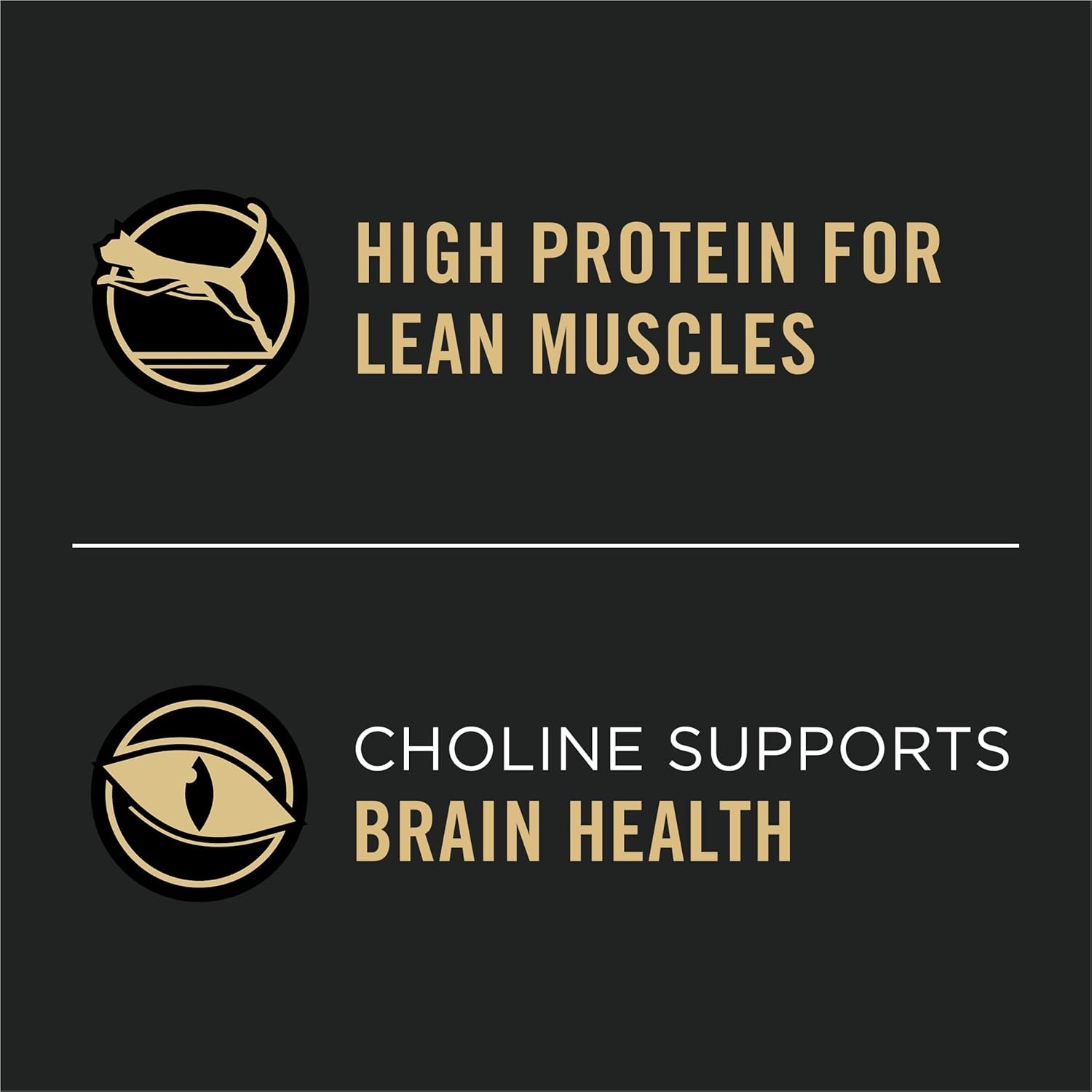 Vital Systems Chicken and Egg Formula 4-in-1 Adult Dry Cat Food - 3 lb. Bag