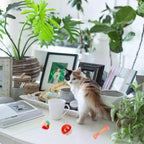 46 PCS Cat Toys for Indoor Cats, Kitten Toys with Cat Spring Toy, Mint Catnip with Crinkle Mouse Ball for Indoor Cats Kittens Exercise