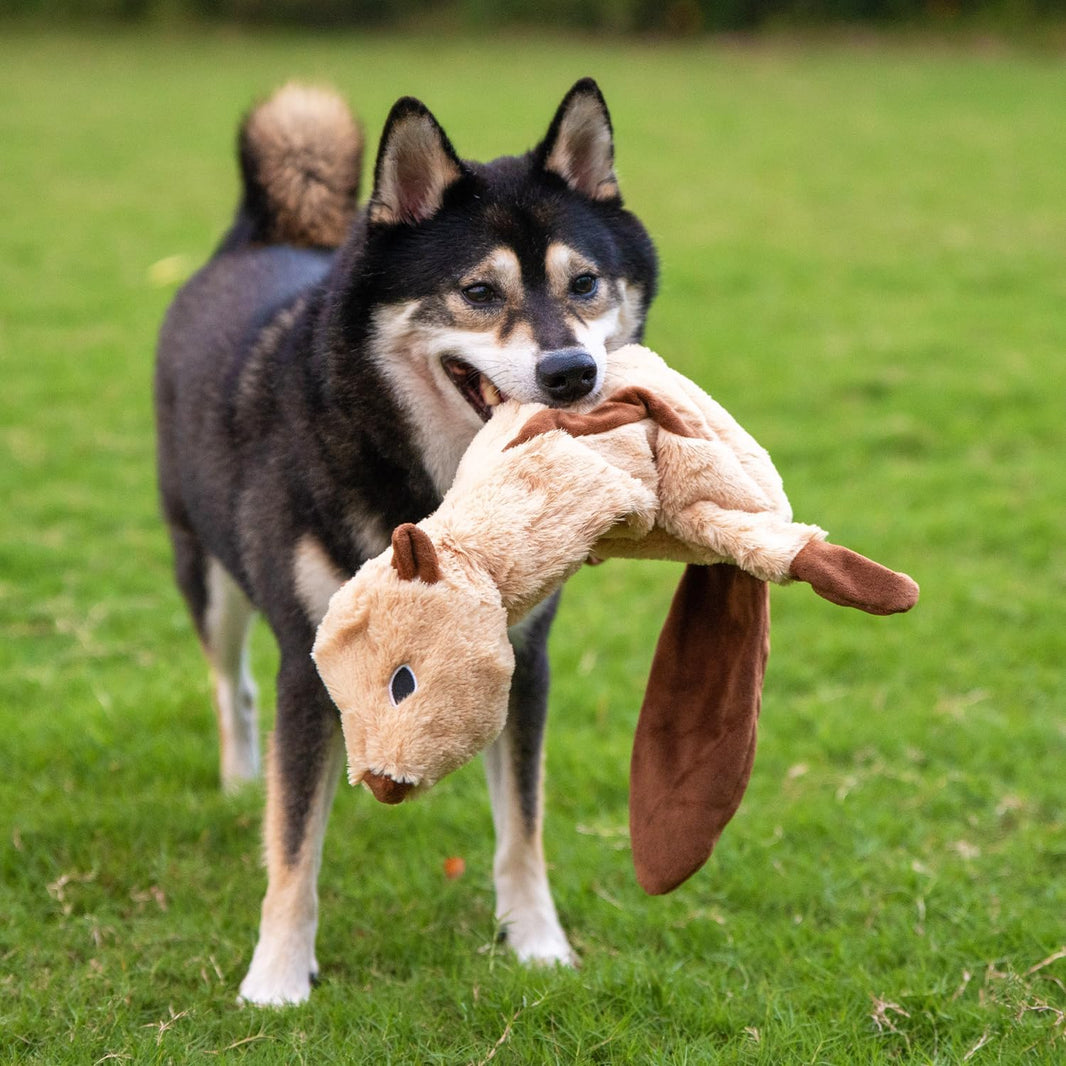 Plush Squeaky Dog Toys (4-Pack)