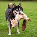 Dog Toys with Soft Durable Fabric for Small, Medium and Large Pets Interactive Toy for Indoor Play, Supports Active Biting and Play - 4 Figures, Small