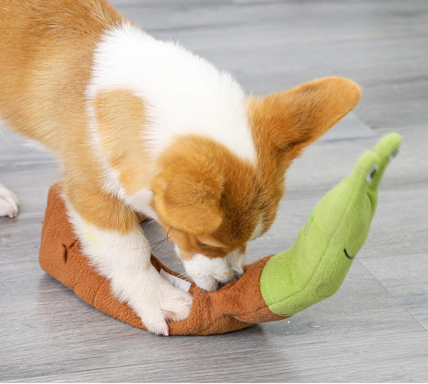 Pet snail molar dog plush toys, dog sniffing training plush toys, interactive educational IQ screaming toys, plush toys for pet activities to relieve stress, suitable for large, medium and small dogs