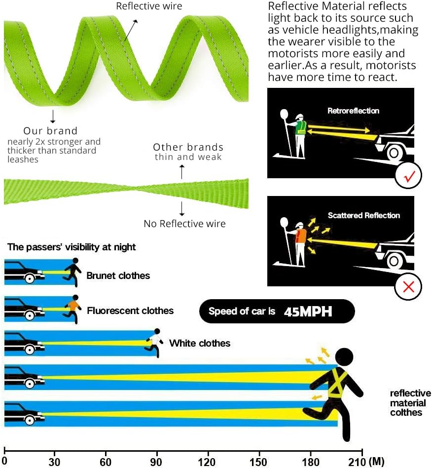 Double Handle Dog Leash 6ft Long, Padded 2 Handle, Heavy Duty, Reflective Training Leash for Medium Large Dogs, Dual Handle Lead (Green)