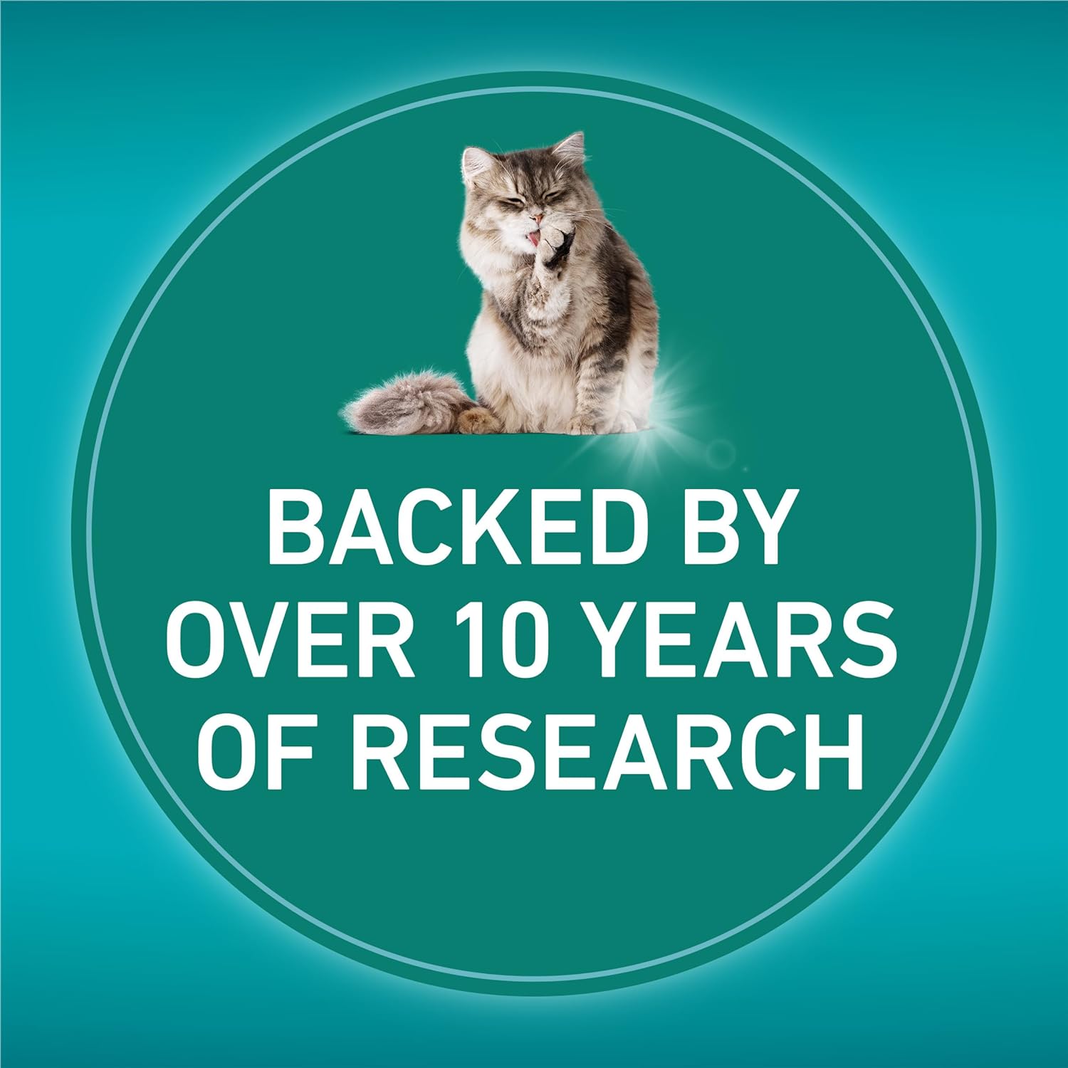 LiveClear Allergen-Reducing Cat Food Dry Formula with Real Chicken As The Number One Ingredient - 3 lb. Bag