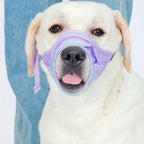 Soft Dog Muzzle – Adjustable Breathable Mesh Muzzle for Small, Medium & Large Dogs, Anti-Bite & Anti-Bark Pet Mouth Cover for Grooming, Training & Vet Visits (XL)