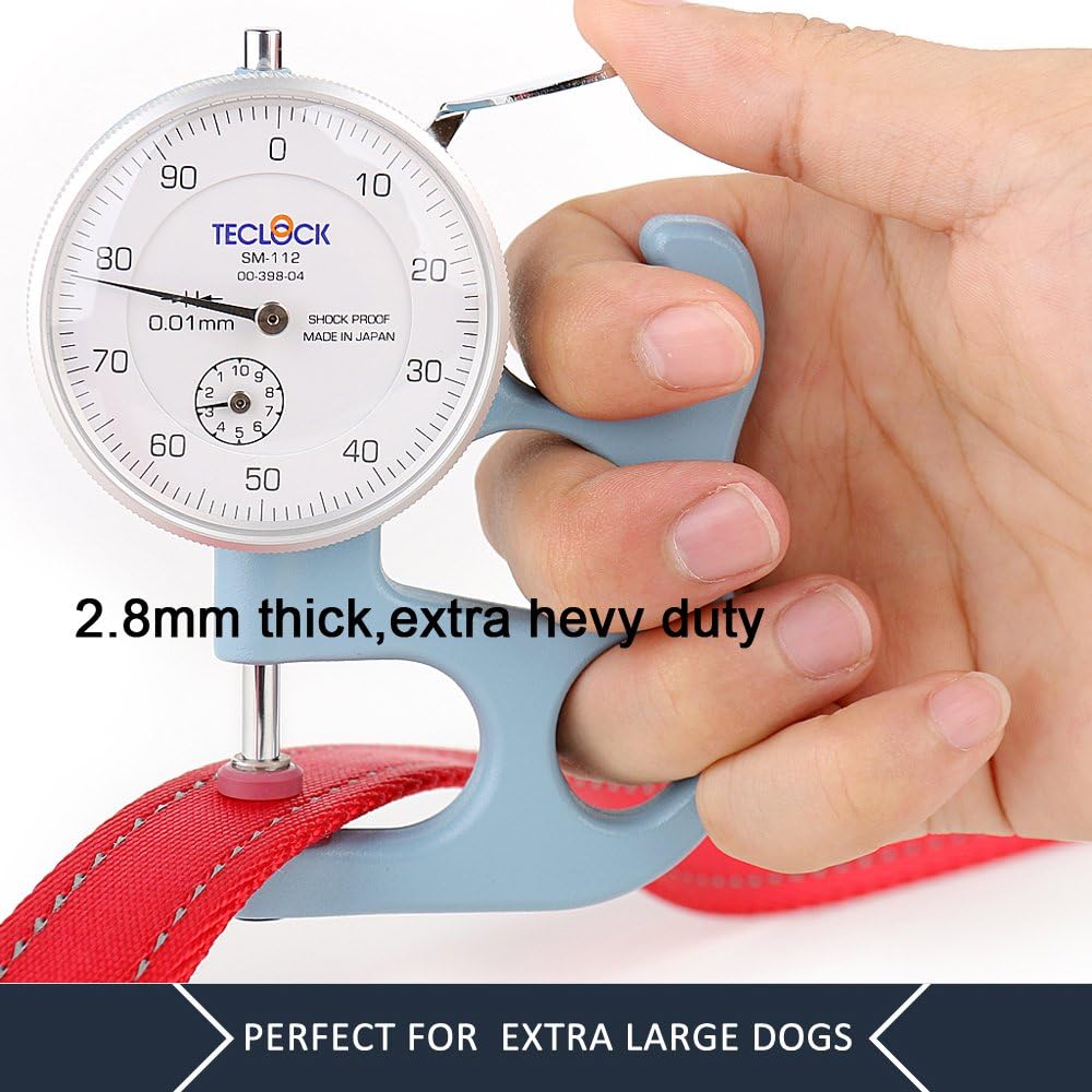 Double Handle Dog Leash, 6ft, Padded, Heavy Duty, Reflective, Red, 2 Handle Leads