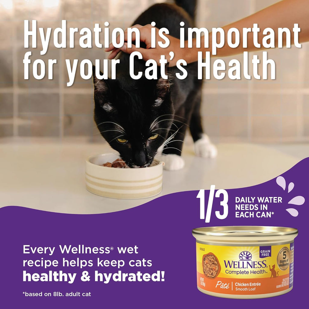 Health Pate Adult Wet Cat Food, Natural, Protein-Rich, Grain Free, 3 Ounce, 24 Pack,  (Turkey &Salmon)
