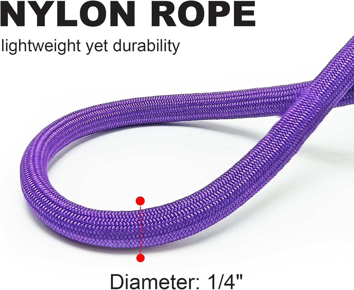 Small Dog Leash, 1/4" by 6/8/10 FT Lightweight Strong Nylon Rope Leash, Bright Classic Lead for Small Pets/Puppy/Cat