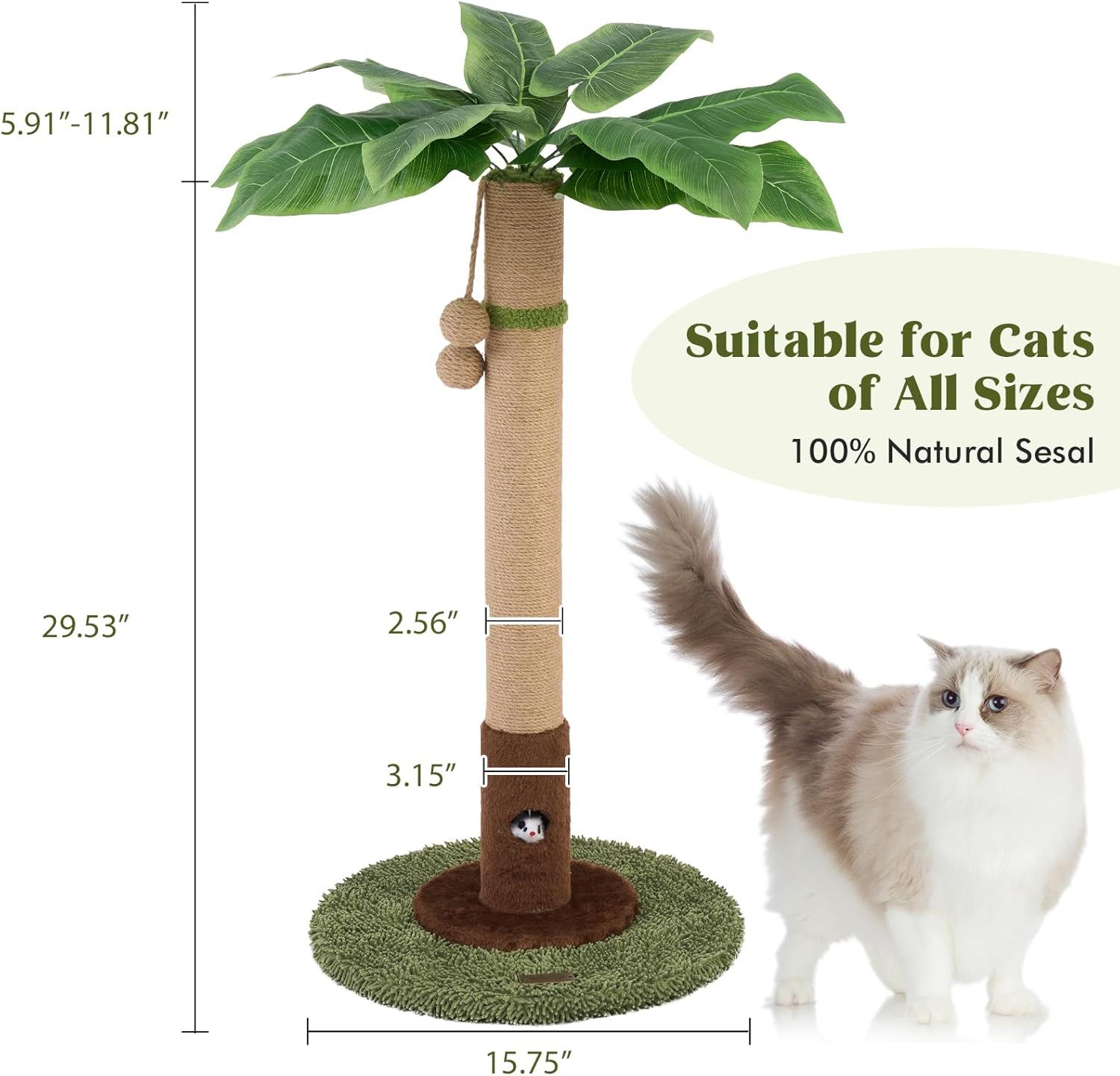 Cat Scratching Post for Indoor Cats and Kitten - 35.43" Tall Cat Scratching Post with Sisal Rope,Palm Tree Cat Scratch Post with Hanging Ball