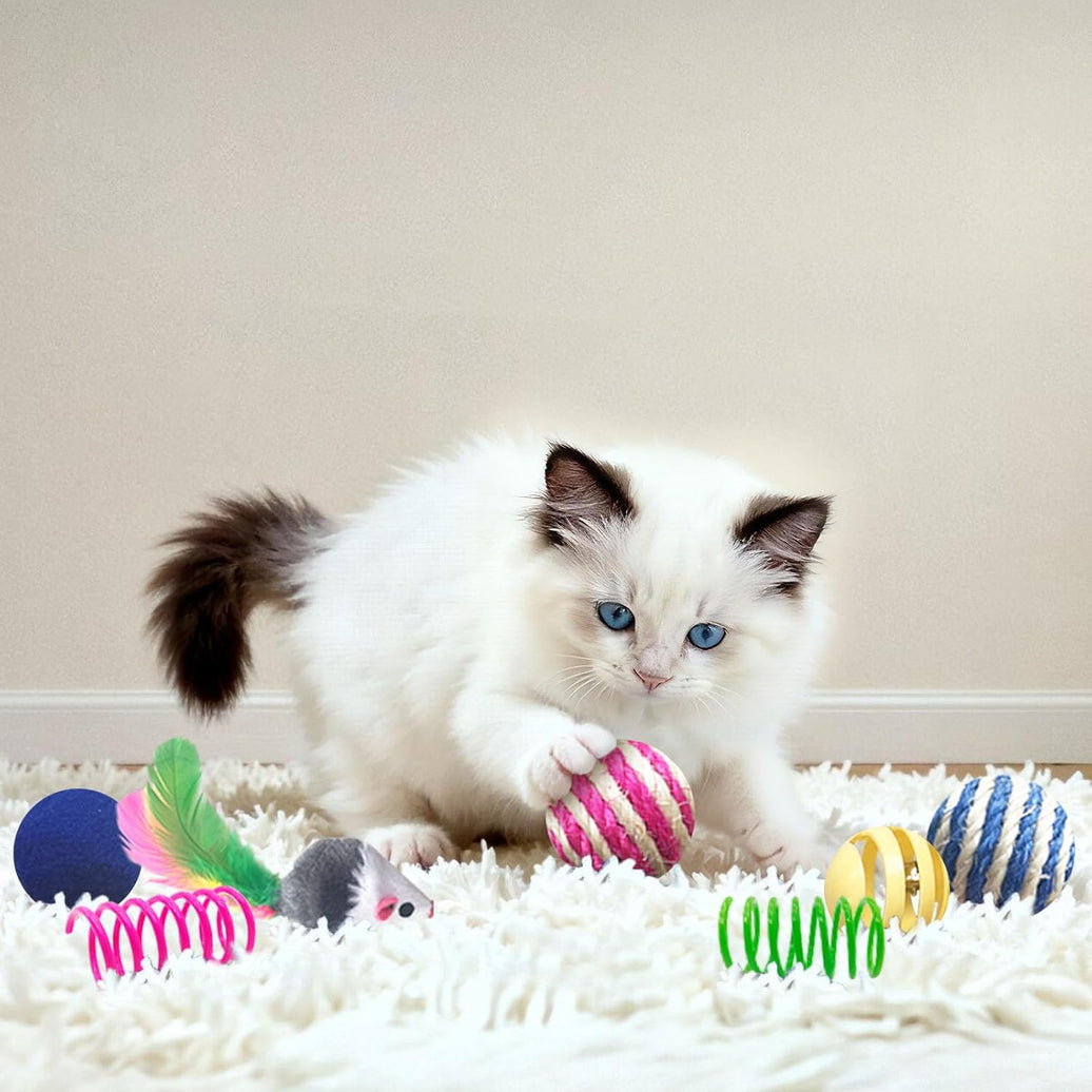 Interactive Cat Toy Variety Set (35 pcs)