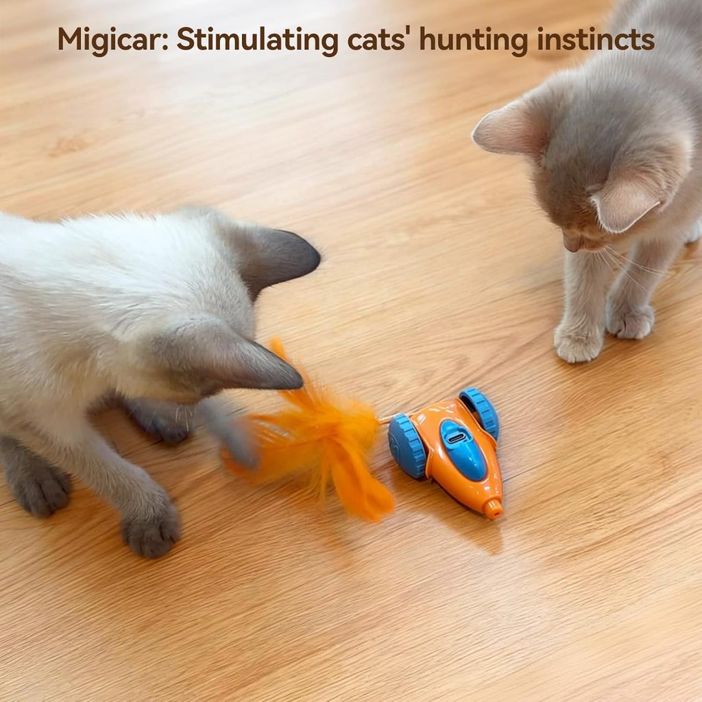 cat Toy, Automatic Interactive Migicar Toy Like a Mouse, Intelligent Programme, Rechargeable Kitten Toy