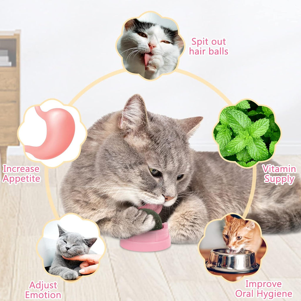 3 Pack Catnip Balls, Catnip Ball for Cats Wall, Edible Kitty Toys for Cats Lick, Safe Healthy Kitten Chew Toys, Teeth Cleaning Dental Cat Toys, Cat Wall Treats (Pink)