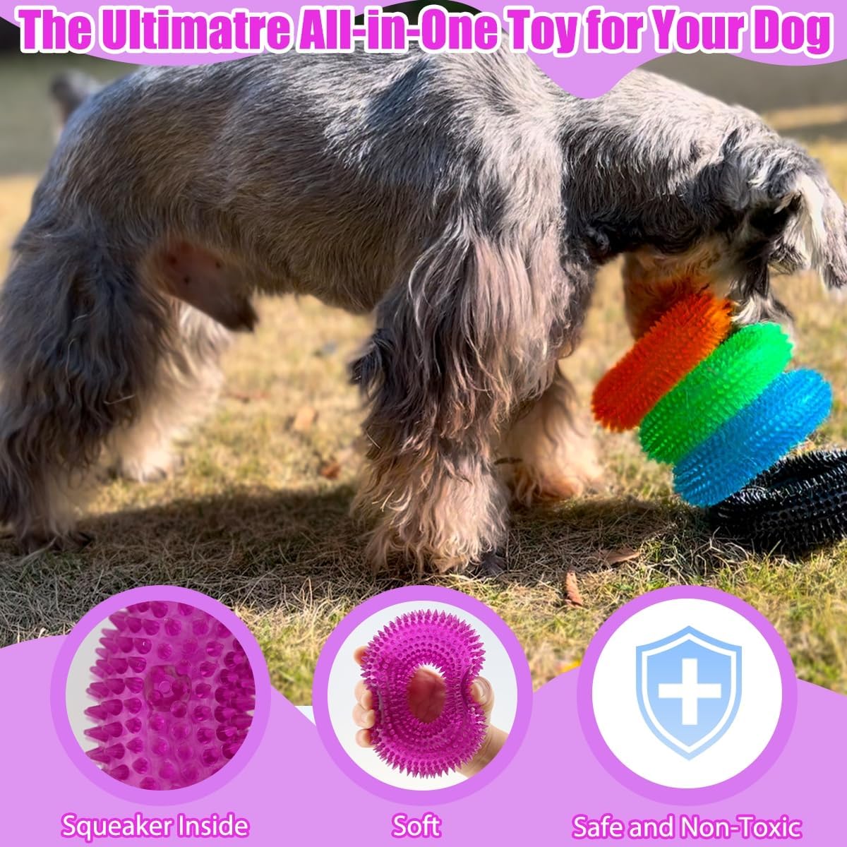 Dog Squeaky Chew Toys for Aggressive Chewers, Small Medium Large Dogs Teeth Cleaning Soft Natural Rubber Float Toy for Indoor Outdoor Water Pool, Donut Ring Design 4.92 inch, Crystal Blue Crystal purple