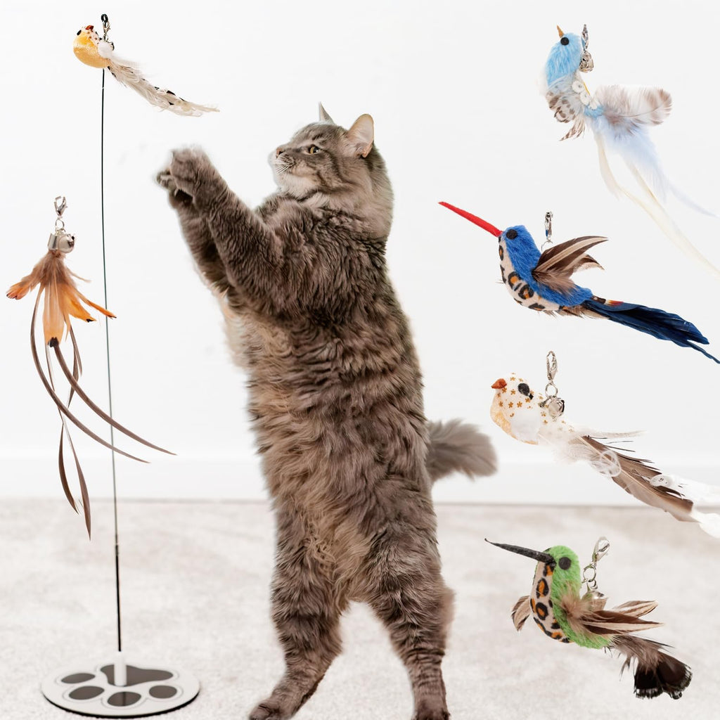 Interactive Bird Simulation Cat Toy Set for Bored Indoor Adult Cats Feather Toy Wand 5 Pcs Natural Bird Feathers Stable Round Base Wand Cat Toys for Indoor Cats Hunting Toys