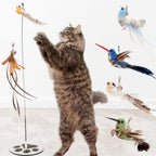 Interactive Bird Simulation Cat Toy Set for Bored Indoor Adult Cats Feather Toy Wand 5 Pcs Natural Bird Feathers Stable Round Base Wand Cat Toys for Indoor Cats Hunting Toys