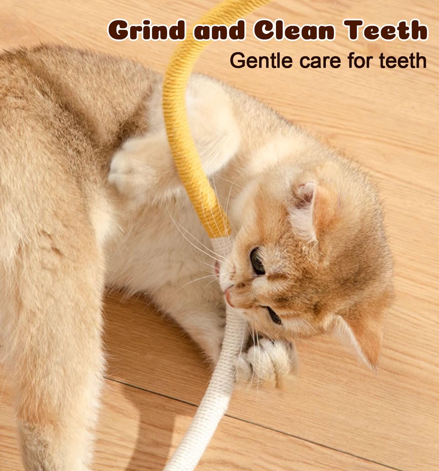 Cat Chew Ropes 4Pcs, Cat Toys for Indoor Cats with Refillable Natural Catnip, Safe Teeth Cleaning Chew Toys, Interactive Kitten Nip Toys and All Breeds