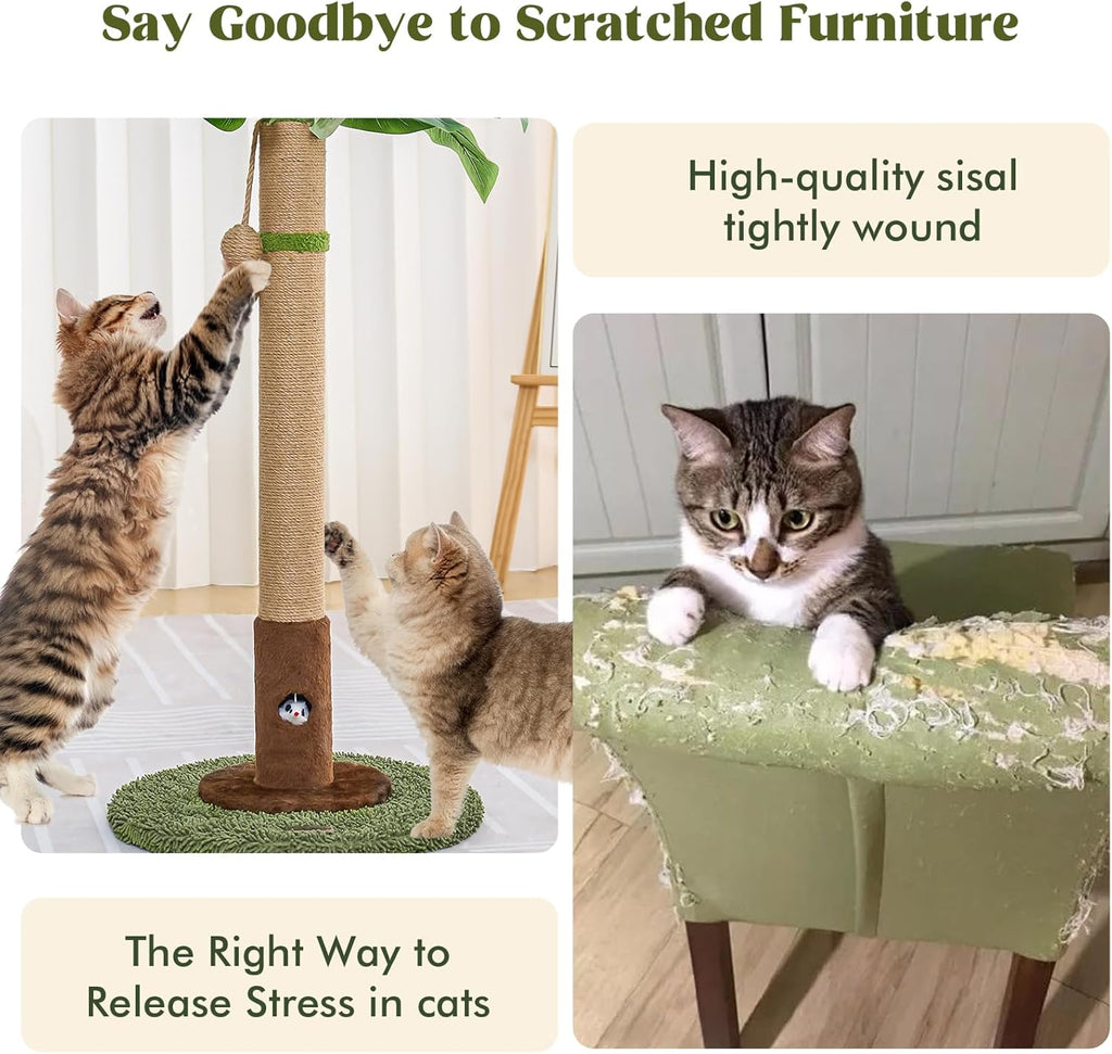 Cat Scratching Post for Indoor Cats and Kitten - 35.43" Tall Cat Scratching Post with Sisal Rope,Palm Tree Cat Scratch Post with Hanging Ball