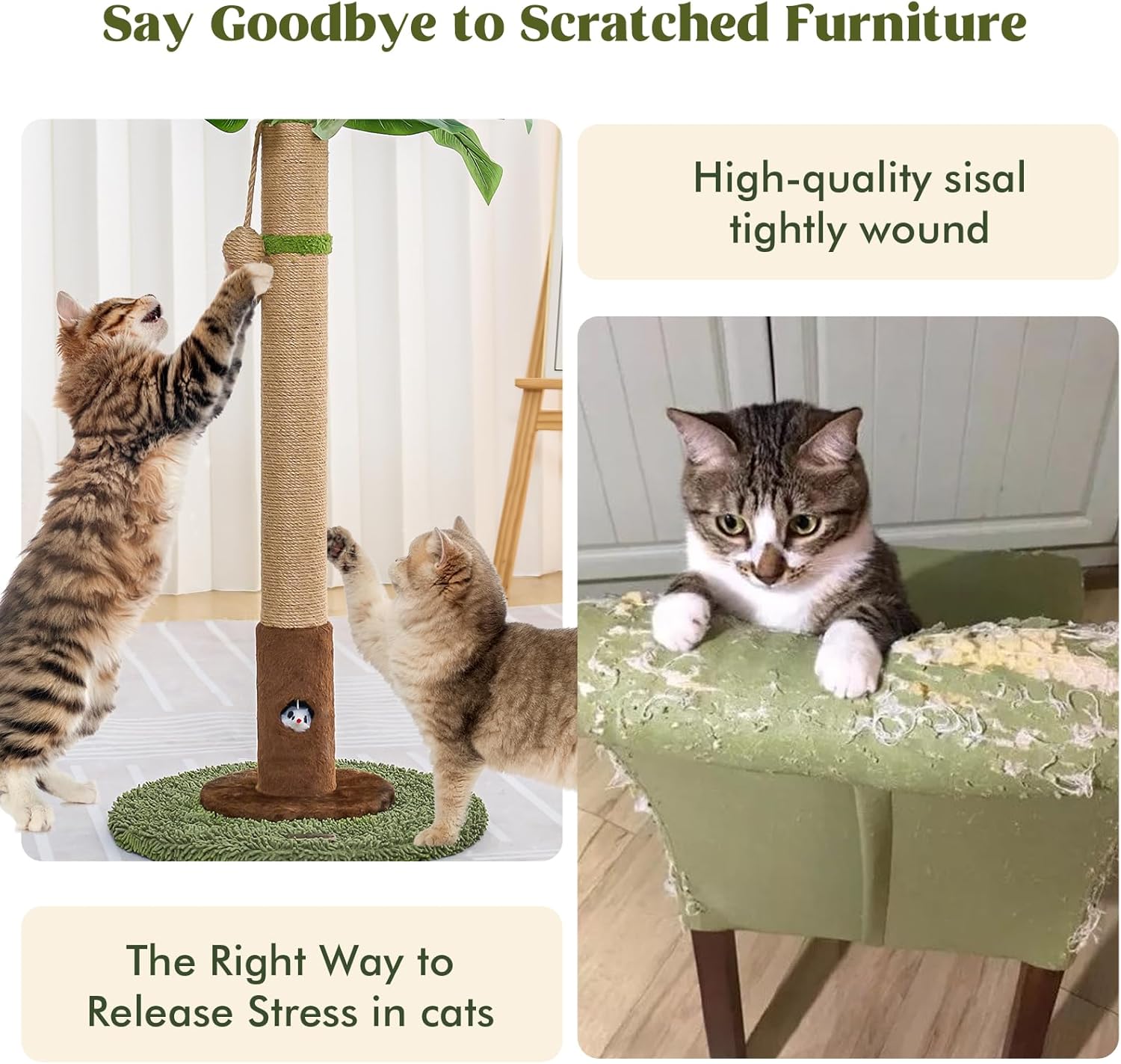 Cat Scratching Post for Indoor Cats and Kitten - 35.43" Tall Cat Scratching Post with Sisal Rope,Palm Tree Cat Scratch Post with Hanging Ball