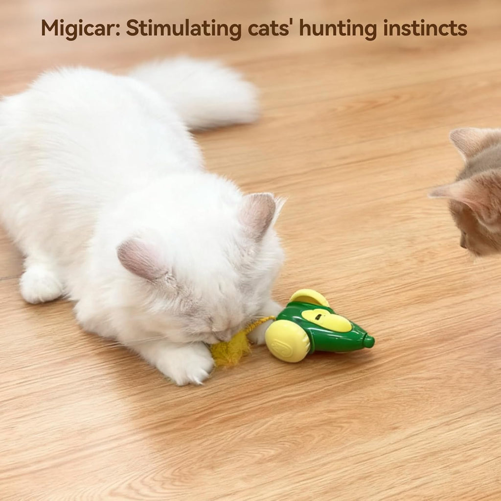 cat Toy, Automatic Interactive Migicar Toy Like a Mouse, Intelligent Programme, Rechargeable Kitten Toy