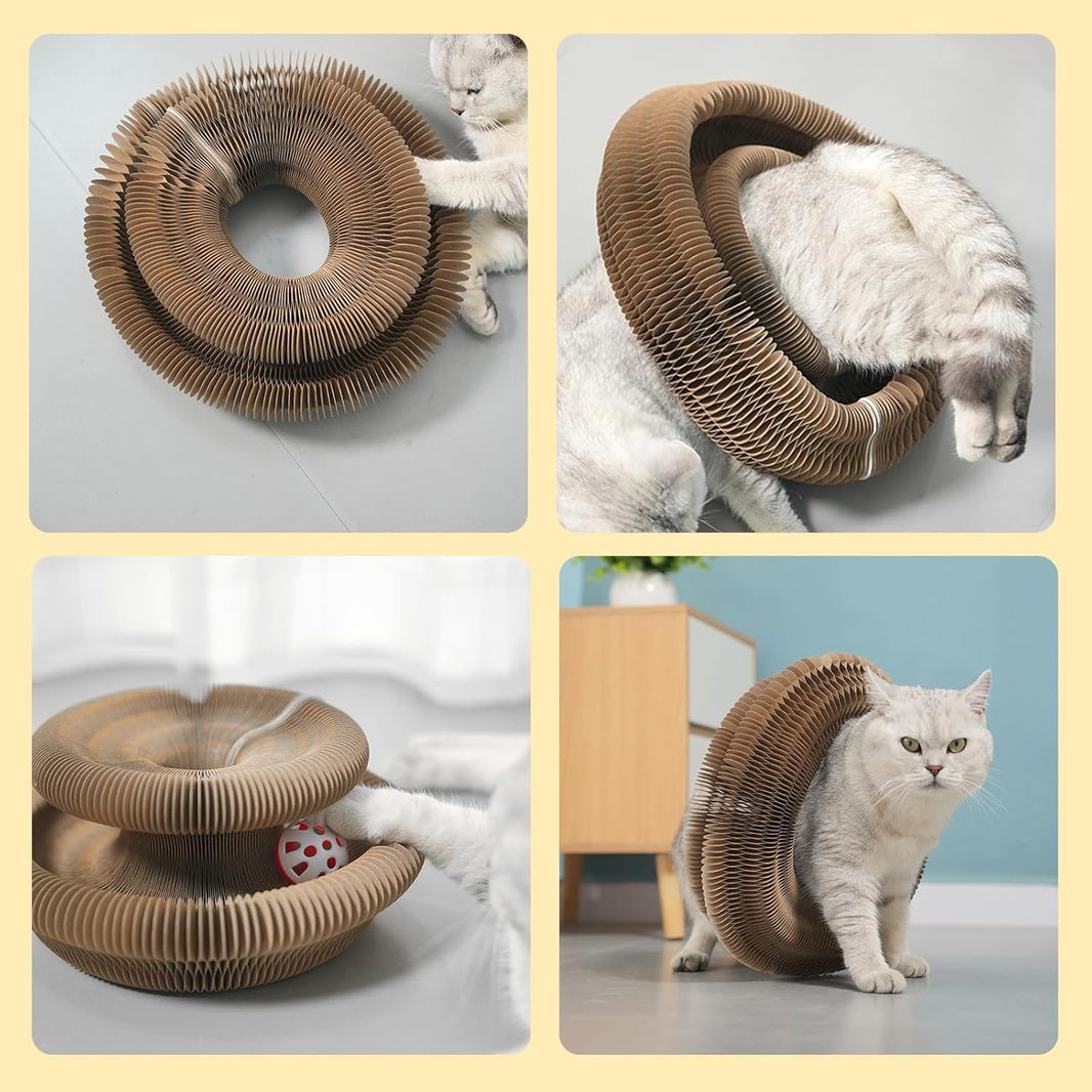 Magic Organ Cardboard Cat Scratcher with Ball