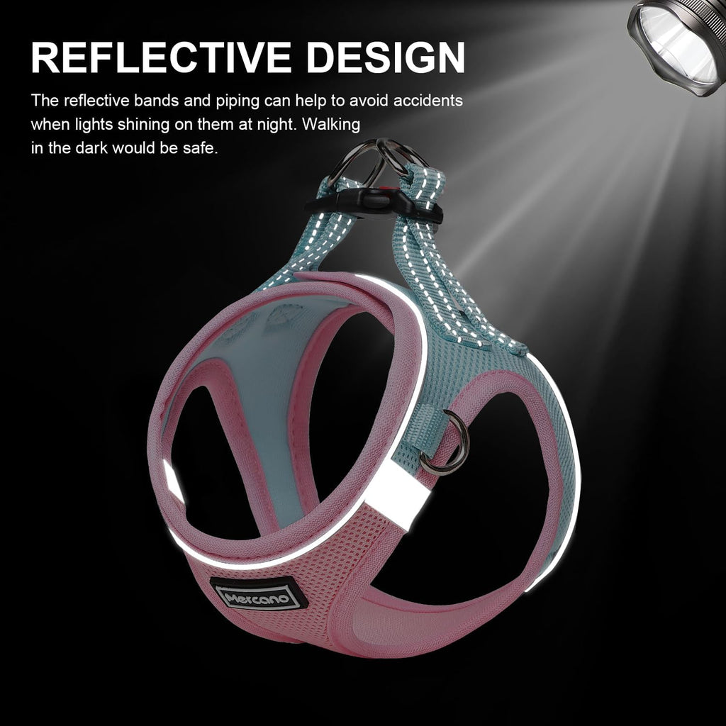 Soft Mesh Dog Harness and Leash Set, No-Chock Step-in Reflective Breathable Lightweight Easy Walk Vest Harnesses with Safety Buckle for Small Dogs, Cats (S, Pink Blue)