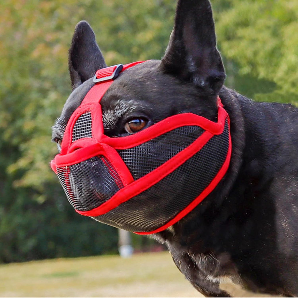 Breathable Mesh Muzzle for Flat-Faced Dogs