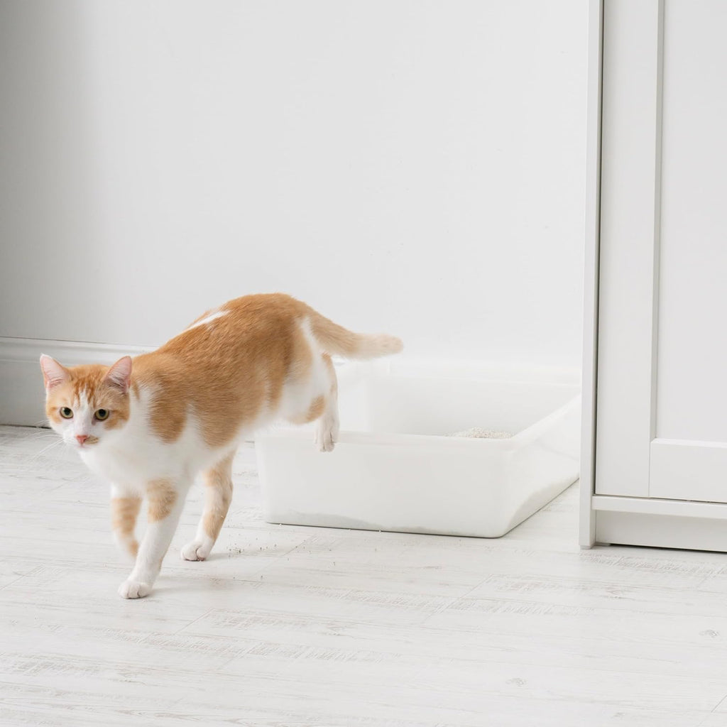 Large Open Top Cat Litter Box, Kitty Litter Pan, Pearl