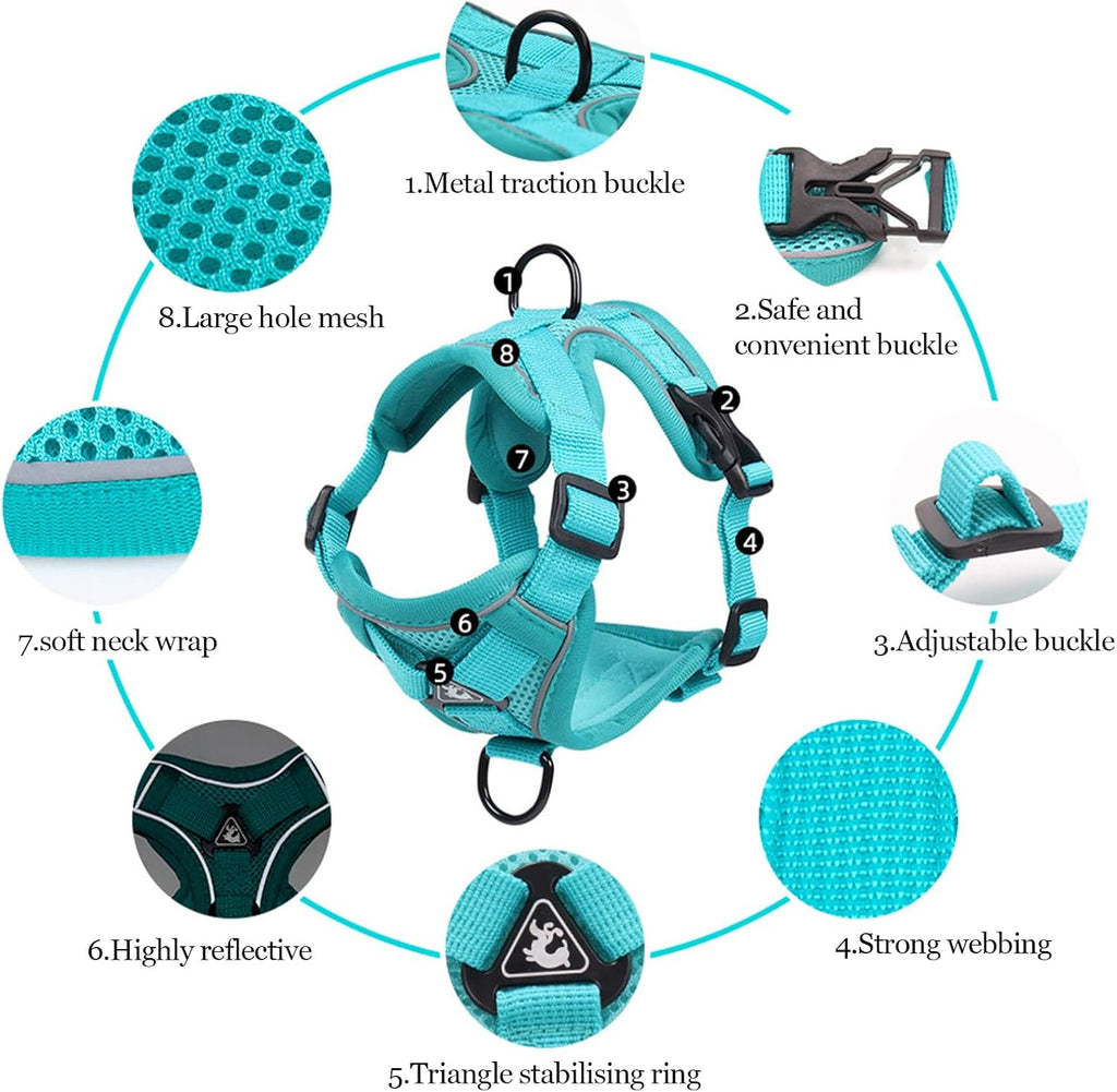 Summer cat Chest Harness and Leash, Anti-Escape Adjustable Soft mesh cat Leash and Chest Harness Set for All Types of Cats cat Vests