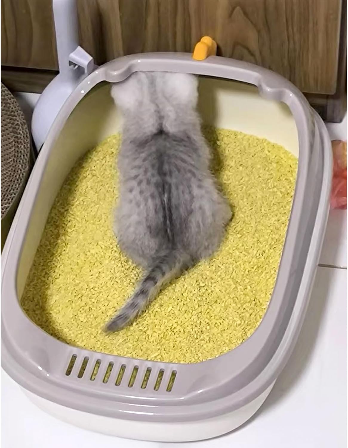 Open Litter Box, Anti-Splashing Cat Toilet with Litter Sifting Scoop - Semi-Enclosed, Removable Kitten Litter Box