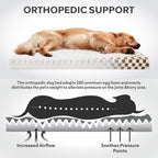 Dog Bed for Medium Dogs, Large Orthopedic Dog Bed with Removable Washable Cover, Cute Modern Plush & Memory Egg Crate Foam Dog Bed(Brown)