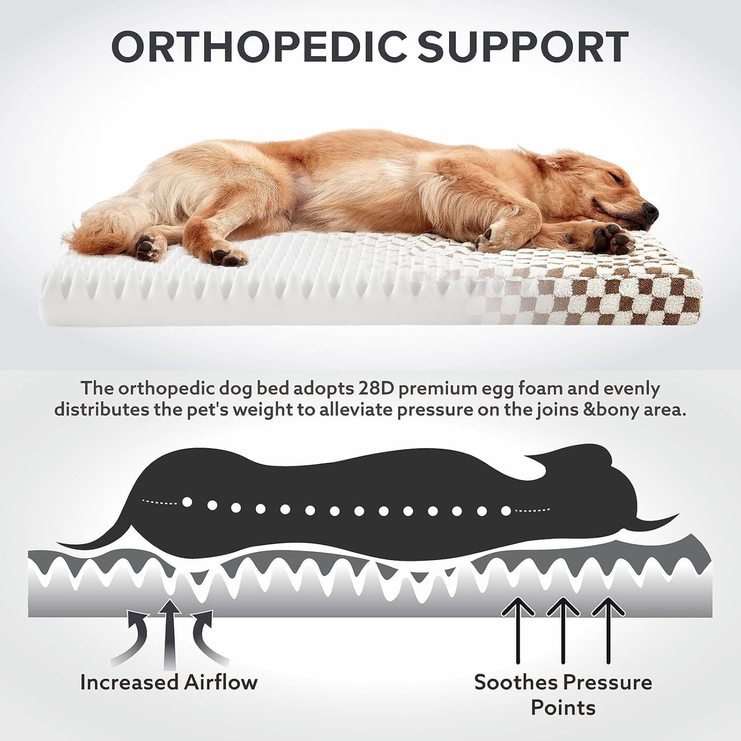 Dog Bed for Medium Dogs, Large Orthopedic Dog Bed with Removable Washable Cover, Cute Modern Plush & Memory Egg Crate Foam Dog Bed(Brown)