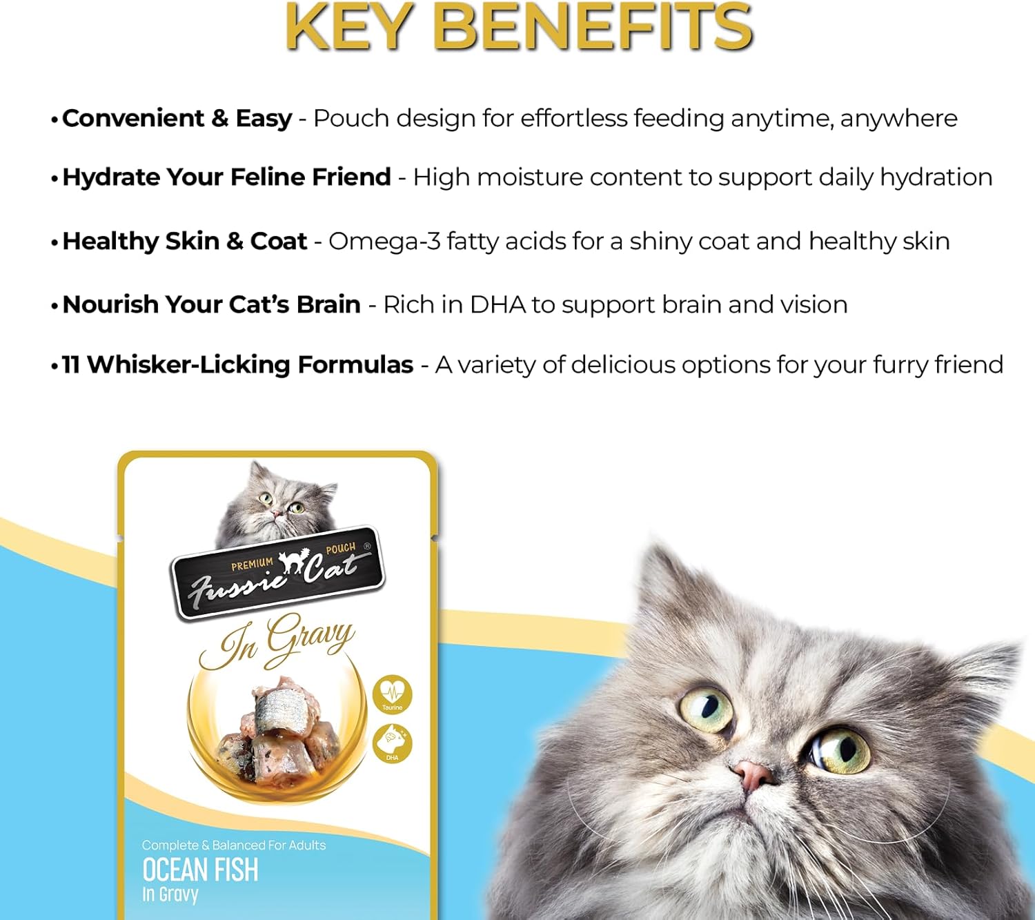 cat Premium Ocean Fish in Gravy, 2.4 Oz (Pack of 12)