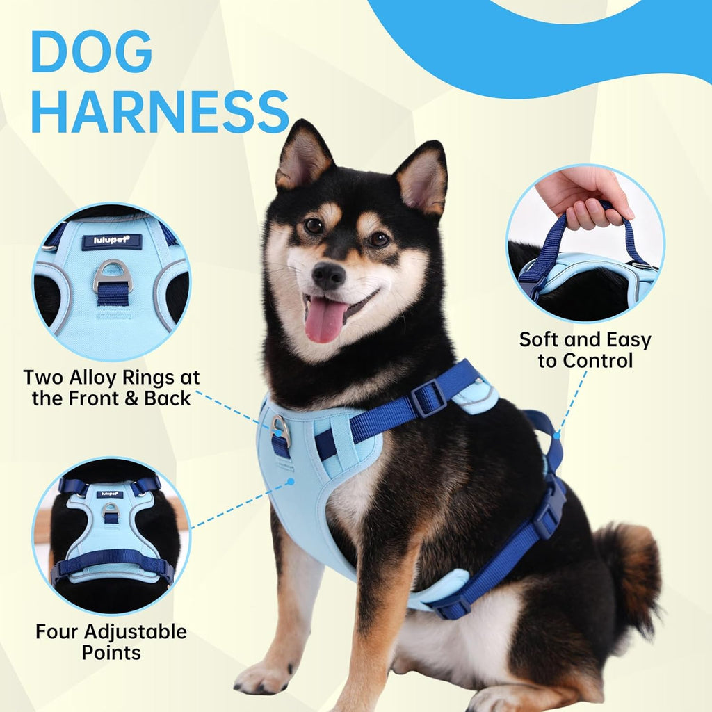 Dog Harness Leash and Collar Set, Soft Adjustable Dogs Vest Reflective and Comfortable Handle Blue Small